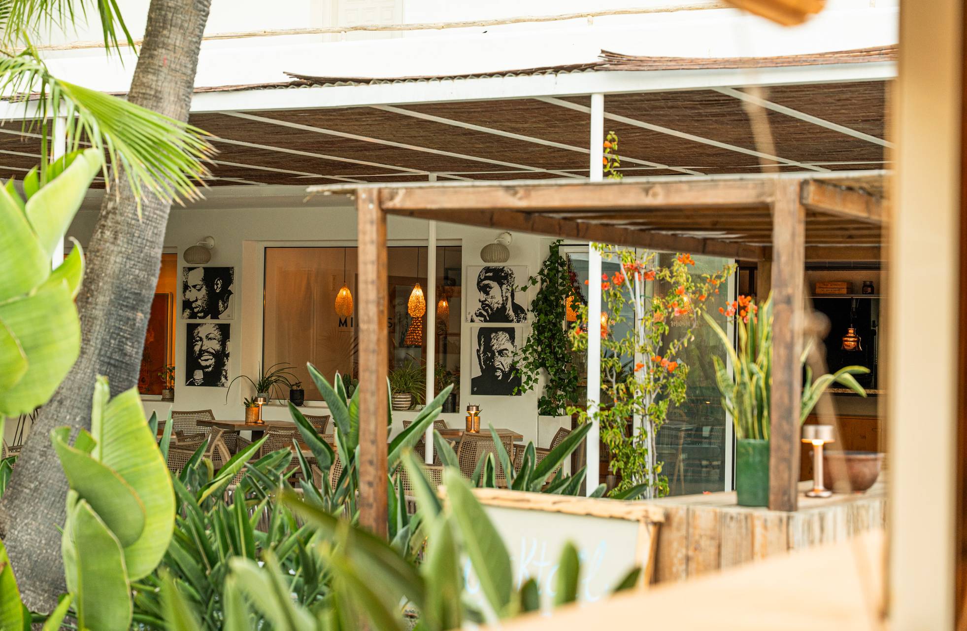 Exposición de Davey Brown en Hotel Boutique & Spa Las Mimosas en 2025